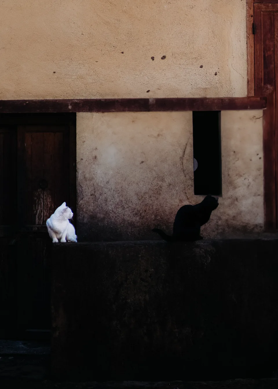 Echoes of Grace photograph 6